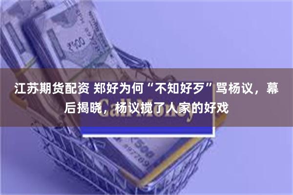 江苏期货配资 郑好为何“不知好歹”骂杨议，幕后揭晓，杨议搅了人家的好戏