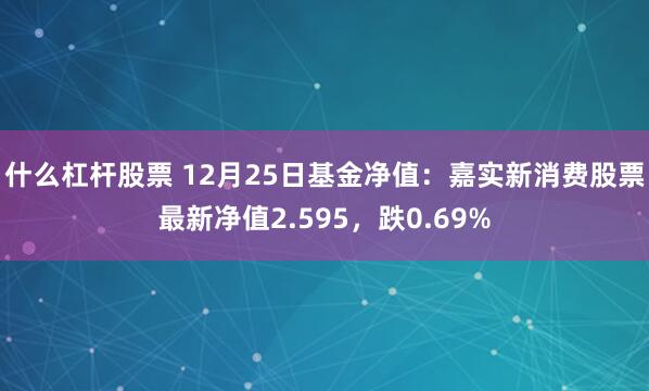 什么杠杆股票 12月25日基金净值：嘉实新消费股票最新净值2.595，跌0.69%