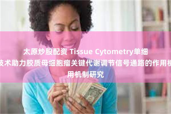 太原炒股配资 Tissue Cytometry单细胞多色技术助力胶质母细胞瘤关键代谢调节信号通路的作用机制研究