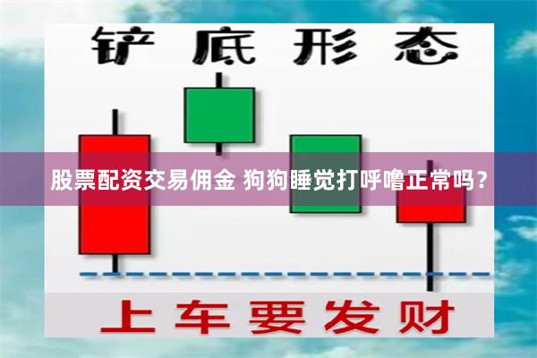 股票配资交易佣金 狗狗睡觉打呼噜正常吗？